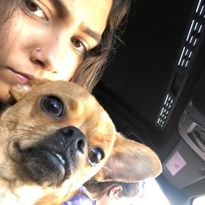 Meet your Posher, Julya